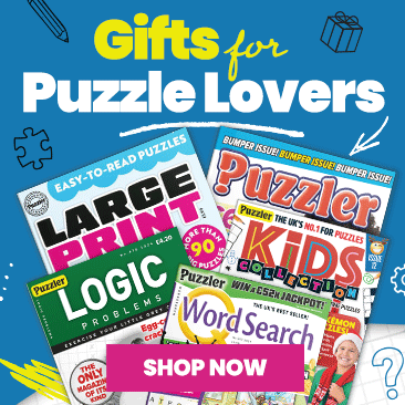 Gifts for puzzle lovers